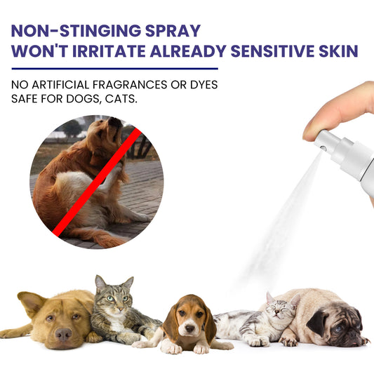 Pet Care Spray /Pet Daily Cleansing