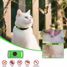 Pet Flea Collar for Dogs