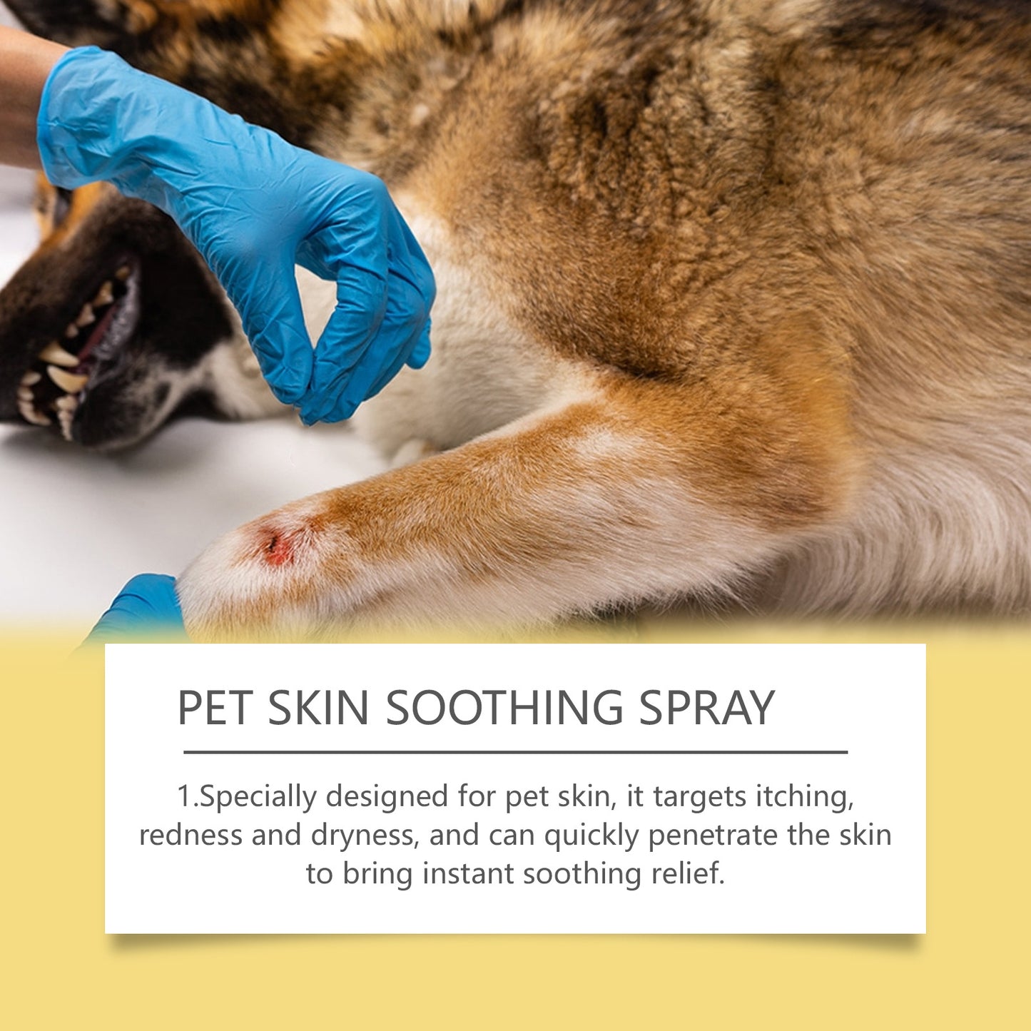 50ml Pet Skin Care Spray – Gentle Formula, Itch Relief & Soothing Comfort for Dogs and Cats