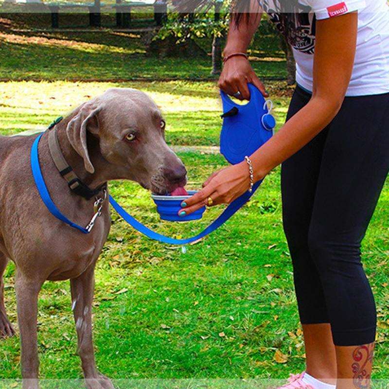 Multifunctional Dog Leash with Collapsible Bowl & Built-In Water Container