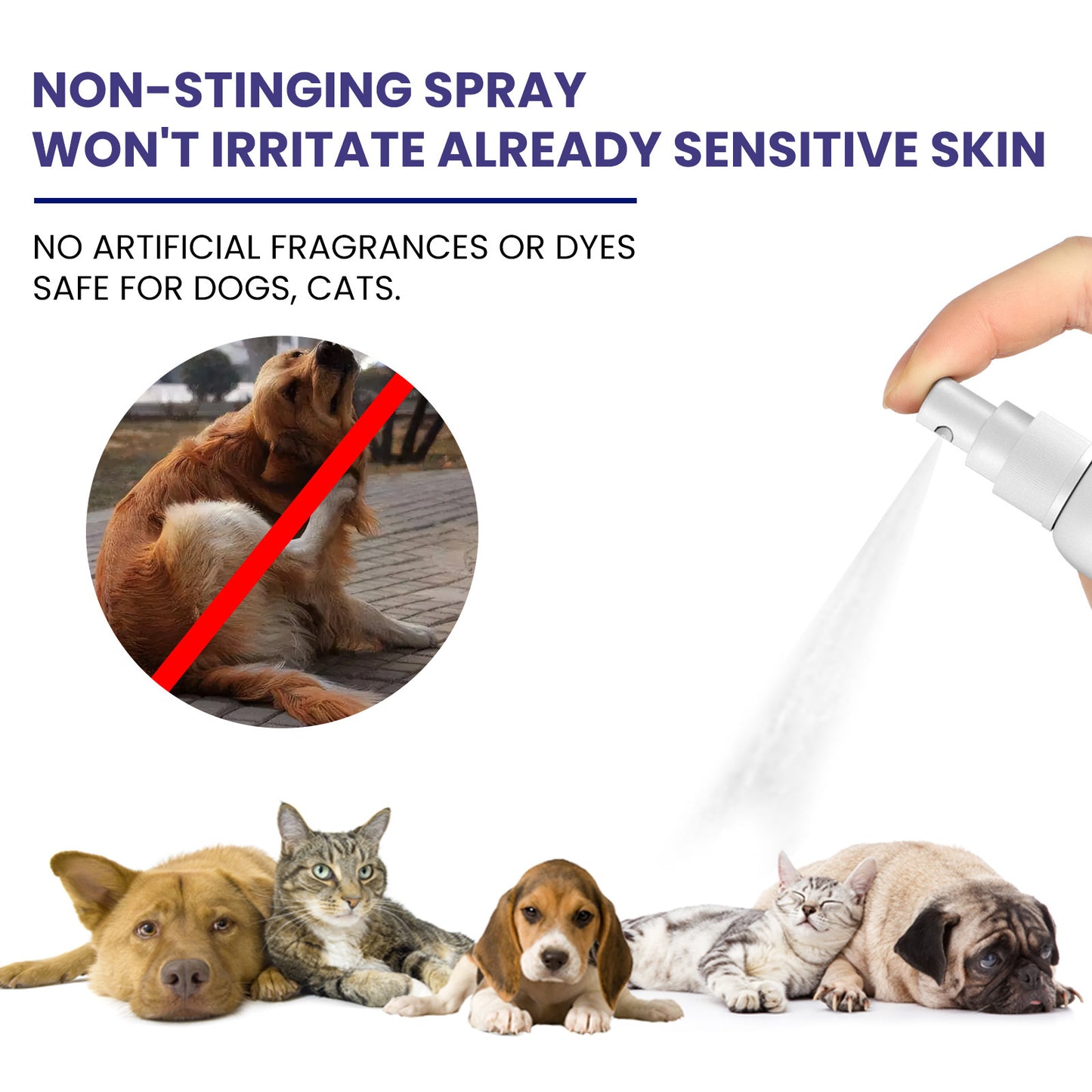 Pet Care Spray /Pet Daily Cleansing