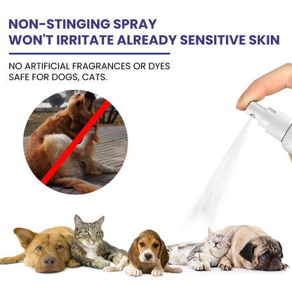 Pet Care Spray /Pet Daily Cleansing